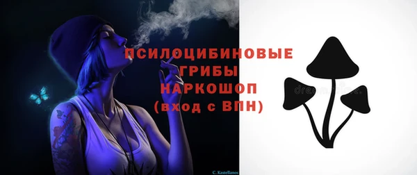 твердый Алексеевка