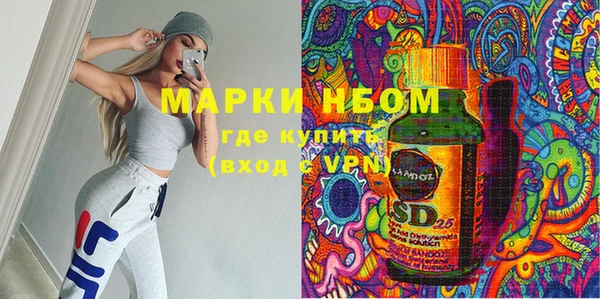 ПСИЛОЦИБИНОВЫЕ ГРИБЫ Алексин