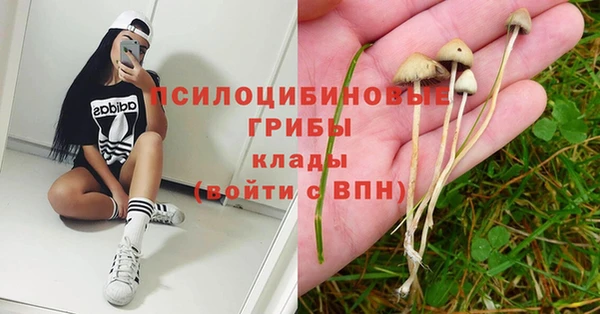 твердый Алексеевка