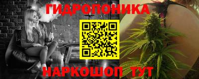 дурь Гай