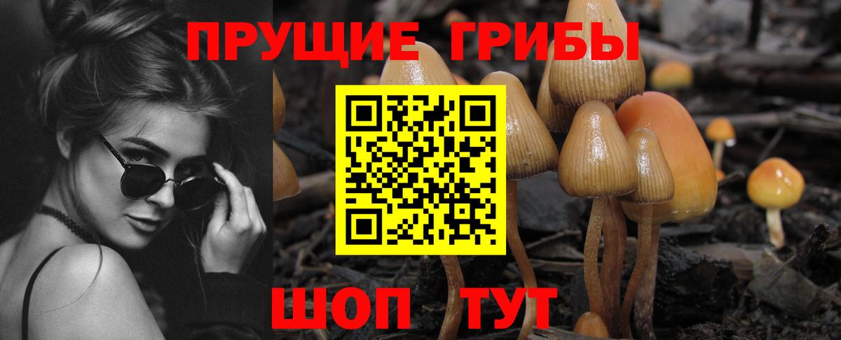 Котлас  Галлюциногенные грибы MAGIC MUSHROOMS  Вход с VPN 